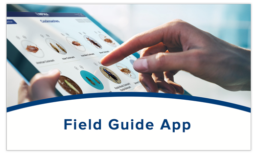Field Guide App